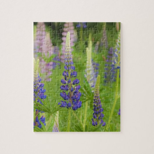 アメリカ、メイン、アカディア国立公園。フィールド ジグソーパズル (縦)