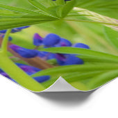 アメリカ、メイン、アカディア国立公園。フィールド ポスター (角)