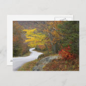 アメリカ、メイン、カムデン。カムデンを通る道 ポストカード (正面/裏面)