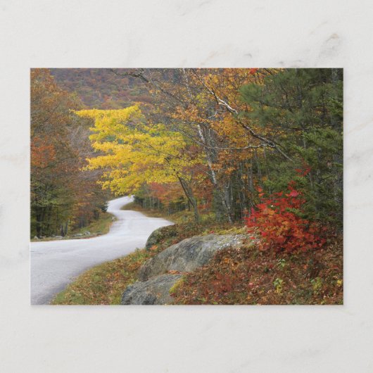 アメリカ、メイン、カムデン。カムデンを通る道 ポストカード (正面)