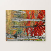 アメリカ、メイン、ワイマン湖。森樺の木 ジグソーパズル (横)