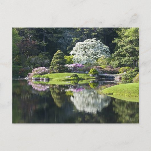 アメリカ、メイン、北東の港。アスティークの表示 ポストカード (正面)