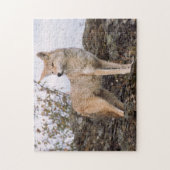 アメリカ、モンタナ、カリスペル。コヨーテアットトリプルD ジグソーパズル (縦)