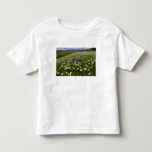 アメリカ、モンタナ、草原に咲くデイジー トドラーTシャツ