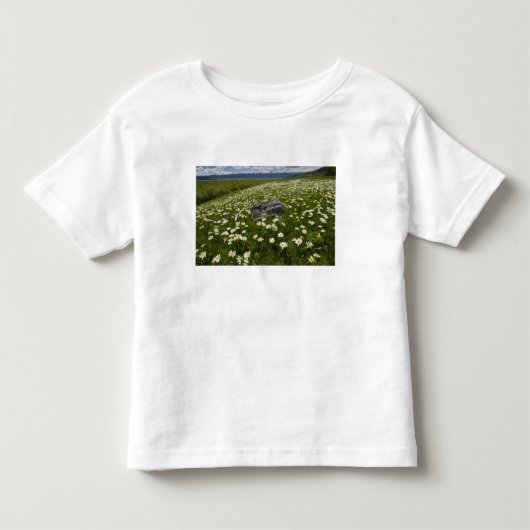 アメリカ、モンタナ、草原に咲くデイジー トドラーTシャツ (正面)