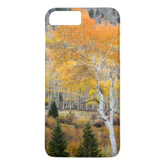 アメリカ ユタ州 アスペン並木とヤナギの茂み Case-Mate iPhoneケース (裏面)