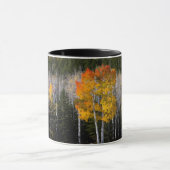 アメリカ ユタ州。アメリカヤマナラシ (Populus Tremuloides) 2 マグカップ (中央)