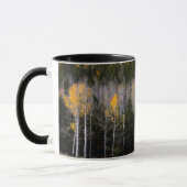 アメリカ ユタ州。アメリカヤマナラシ (Populus Tremuloides) 2 マグカップ (左)