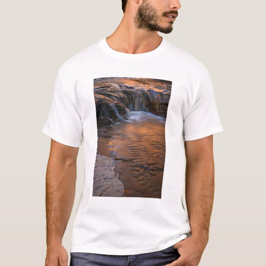 アメリカ、ユタ州、エスカレント・ウィルダネス。水辺の滝 Tシャツ (正面)