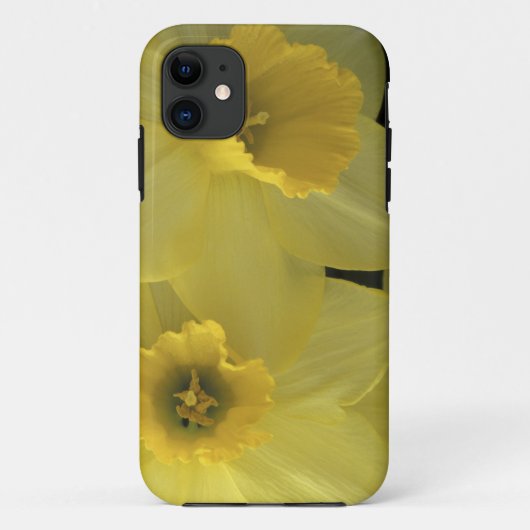 アメリカ, ユタ州, キャッシュバレー 水仙 Case-Mate iPhoneケース (裏面)