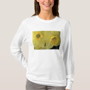 アメリカ, ユタ州, キャッシュバレー 水仙 Tシャツ