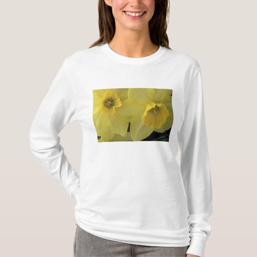 アメリカ, ユタ州, キャッシュバレー 水仙 Tシャツ (正面)