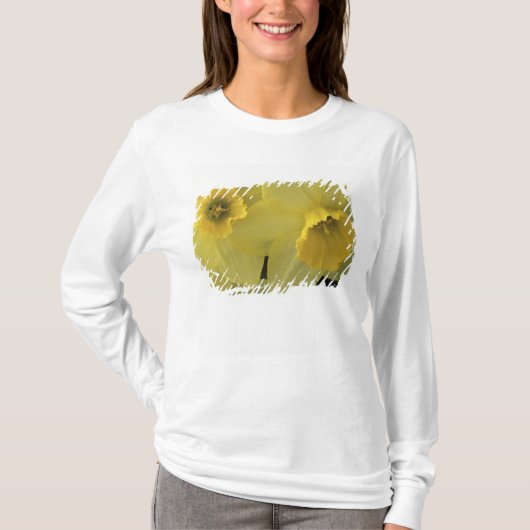 アメリカ,ユタ州,キャッシュバレー 水仙 Tシャツ (正面)