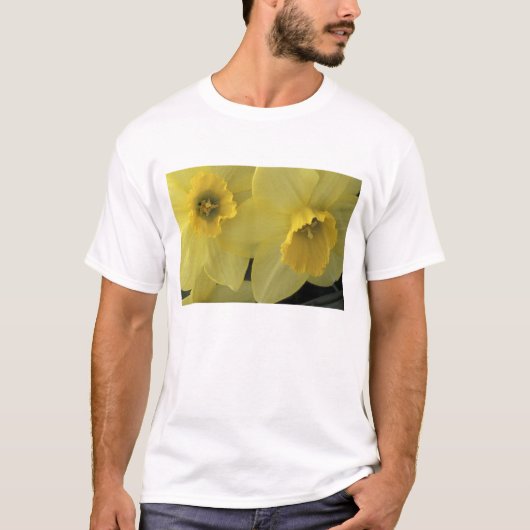 アメリカ, ユタ州, キャッシュバレー 水仙 Tシャツ (正面)