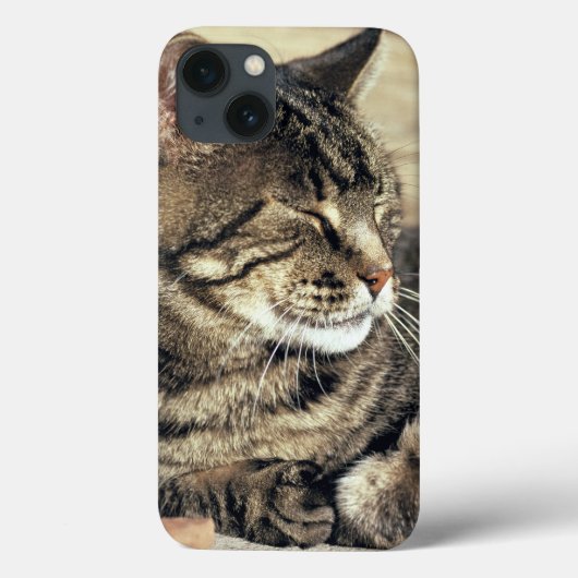 アメリカ, ユタ州, キャピトル・リーフ国立公園で寝る縞猫 Case-Mate iPhoneケース (裏面)
