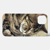 アメリカ, ユタ州, キャピトル・リーフ国立公園で寝る縞猫 Case-Mate iPhoneケース (裏面 (横))