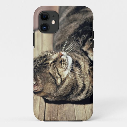 アメリカ、ユタ州、キャピトル・リーフ国立公園。寝ている縞模様の猫 Case-Mate iPhoneケース (裏面)