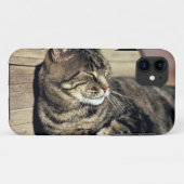 アメリカ、ユタ州、キャピトル・リーフ国立公園。寝ている縞模様の猫 Case-Mate iPhoneケース (裏面(横))