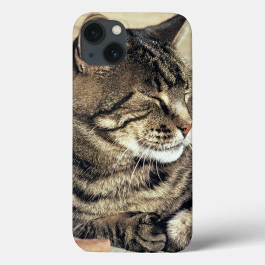 アメリカ、ユタ州、キャピトル・リーフ国立公園。寝ている縞猫 Case-Mate iPhoneケース (裏面)