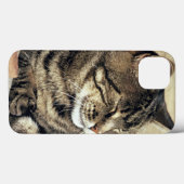 アメリカ、ユタ州、キャピトル・リーフ国立公園。寝ている縞猫 Case-Mate iPhoneケース (裏面 (横))