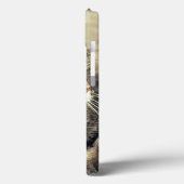 アメリカ、ユタ州、キャピトル・リーフ国立公園。寝ている縞猫 Case-Mate iPhoneケース (裏面 / 左)
