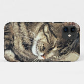 アメリカ, ユタ州, キャピトル・リーフ国立公園. 眠るトラ猫 Case-Mate iPhoneケース (裏面(横))