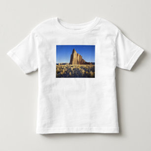 アメリカ、ユタ州、コロラド高原、ロウワー・カテドラル トドラーTシャツ