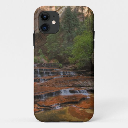 アメリカ、ユタ州、ザイオン国立公園。からの風景 Case-Mate iPhoneケース (裏面)