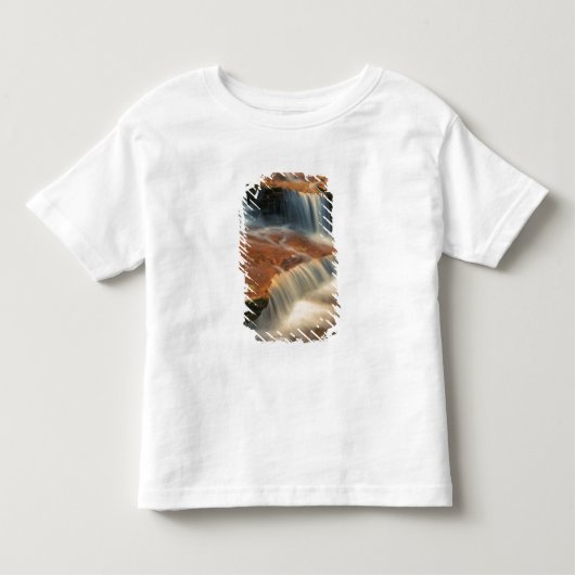 アメリカ、ユタ州、ザイオン国立公園。2からの景色 トドラーTシャツ (正面)