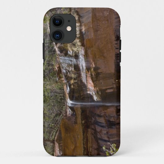 アメリカ, ユタ州, ジオン国立公園, 下エメラルドプールへの Case-Mate iPhoneケース (裏面)