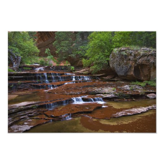 アメリカ, ユタ州, ジオン国立公園。4からの景色 フォトプリント            (正面)