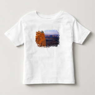 アメリカ、ユタ州、デッドホースポイント州立公園。遅い光が岩壁を赤く染める トドラーTシャツ