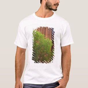 アメリカ, ユタ州, パリアキャニオン-バーミリオンクリフス Tシャツ