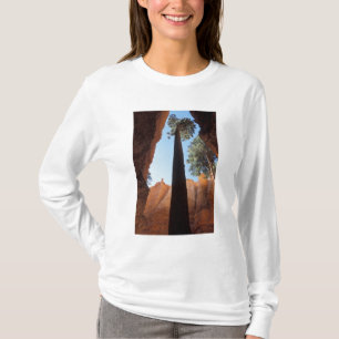 アメリカ、ユタ州、ブライスキャニオン国立公園。高くそびえる Tシャツ
