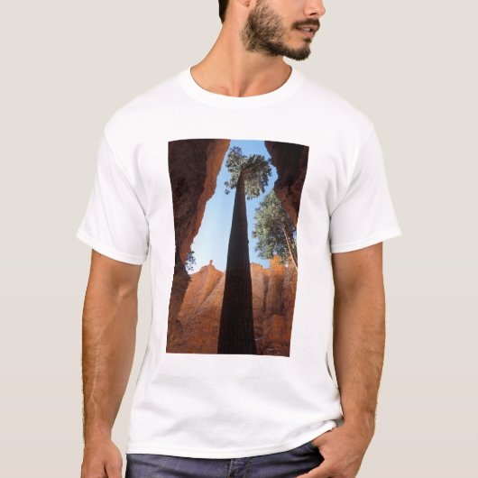 アメリカ, ユタ州, ブライスキャニオン国立公園。高 Tシャツ (正面)