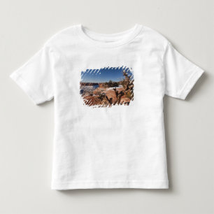 アメリカ, ユタ州, モアブ. キャニオンランズ国立公園, トドラーTシャツ