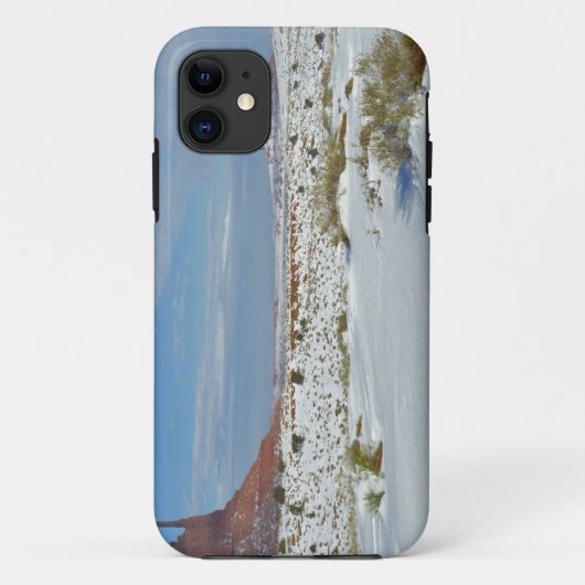 アメリカ ユタ州 モニュメントバレー。 ヤマヨモギ Case-Mate iPhoneケース (裏面)