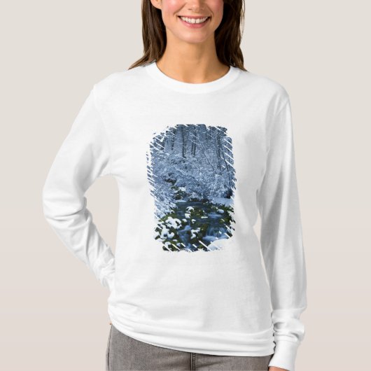 アメリカ, ユタ州, ワサッチ・キャッシュ国有林, Tシャツ (正面)