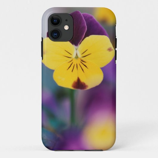アメリカ, ユタ州, 庭の三色スミレのクローズアップ Case-Mate iPhoneケース (裏面)