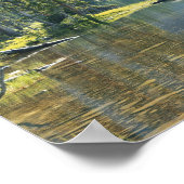 アメリカ、ユタ、アシュリー国有林、ハイユナイタス ポスター (角)