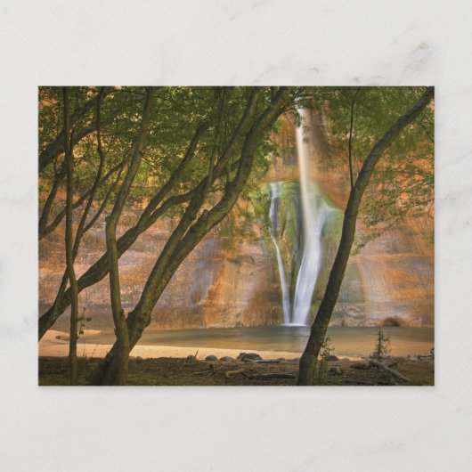 アメリカ、ユタ、エスカランテ・ウィルダネス。~の見解 ポストカード (正面)