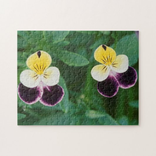 アメリカ、ユタ、キャッシュバレー、ジョニー·ジャンプ·アップ ジグソーパズル (横)