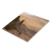 アメリカ；ユタ、キャニオンランド国立公園ビュー タイル (側面)