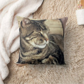 アメリカ、ユタ、キャピトルリーフNP。寝台の猫 クッション (ブランケット)