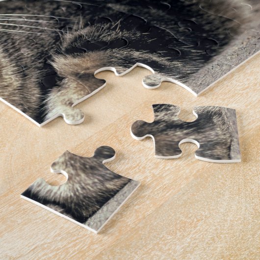 アメリカ、ユタ、キャピトルリーフNP。寝台の猫 ジグソーパズル (側面)