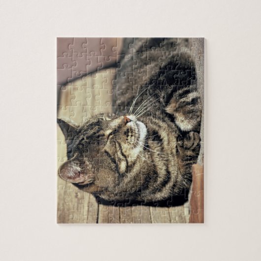 アメリカ、ユタ、キャピトルリーフNP。寝台の猫 ジグソーパズル (縦)