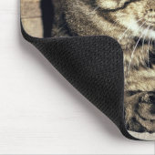 アメリカ、ユタ、キャピトルリーフNP。寝台の猫 マウスパッド (コーナー)