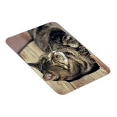 アメリカ、ユタ、キャピトルリーフNP。寝台の猫 マグネット (右側)