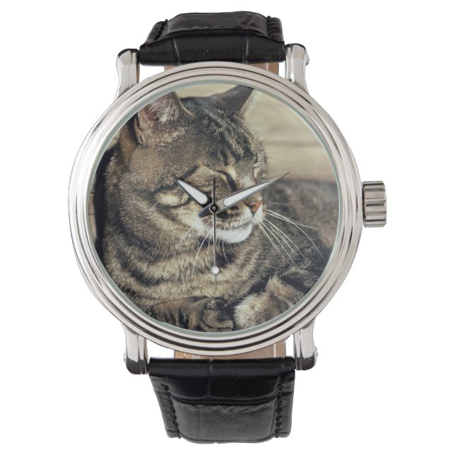 アメリカ、ユタ、キャピトルリーフNP。寝台の猫 腕時計 (正面)