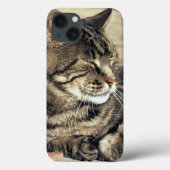 アメリカ、ユタ、キャピトルリーフNP。寝台の猫 Case-Mate iPhoneケース (裏面)